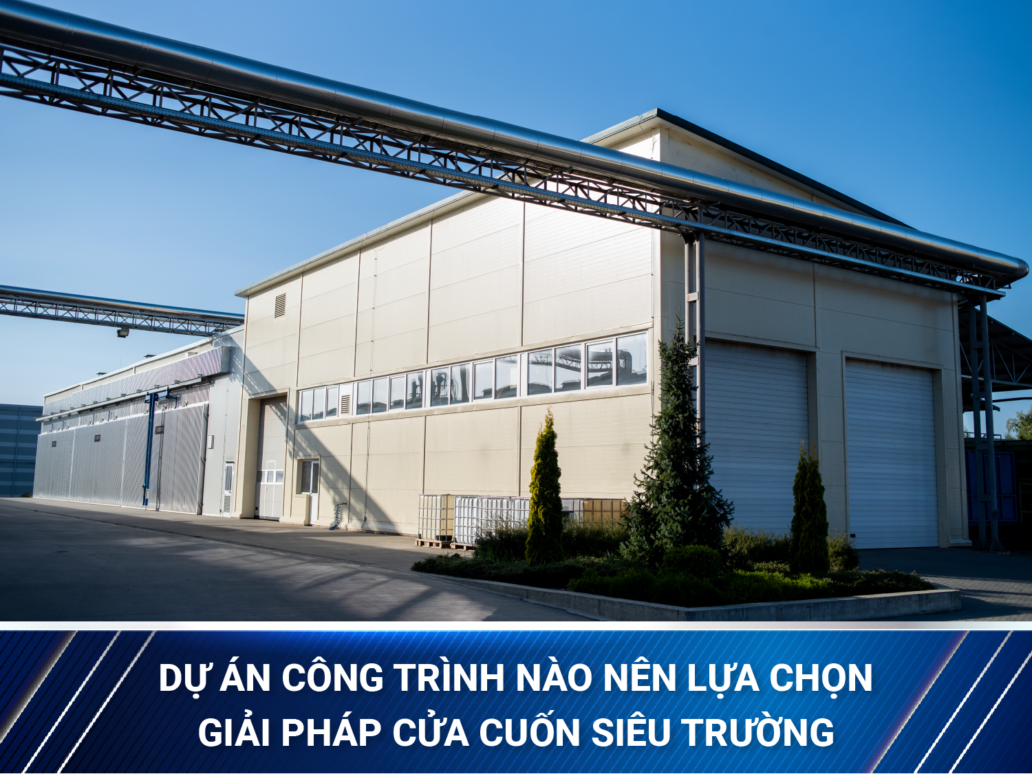 Màu Sơn Web-05